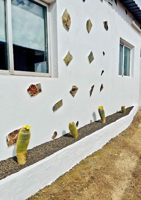 El Paraiso Escondido Santa Cruz de Tenerife Zewnętrze zdjęcie