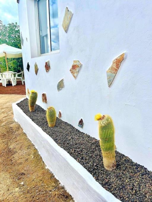 El Paraiso Escondido Santa Cruz de Tenerife Zewnętrze zdjęcie